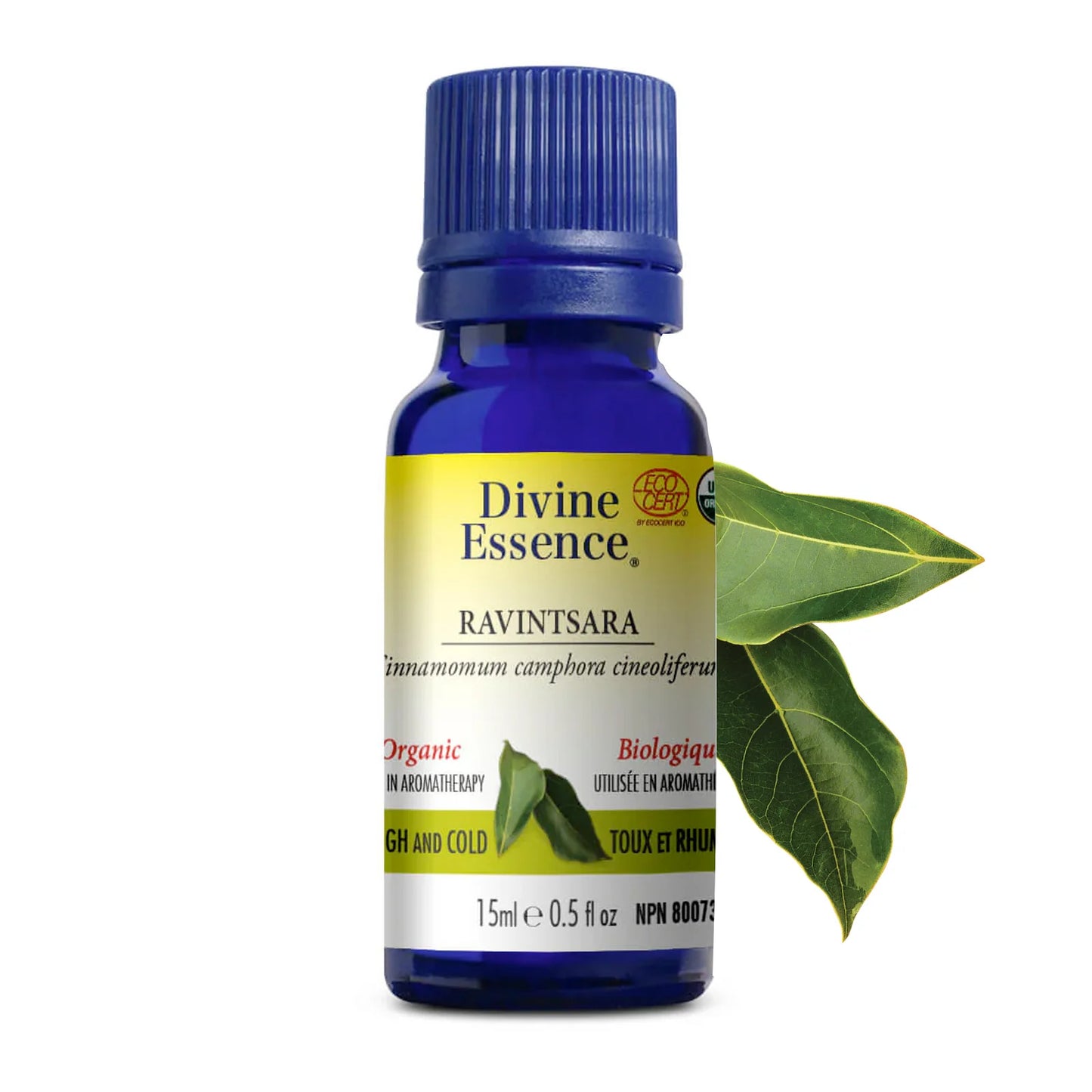 Ravintsara biologique - 15 ml.