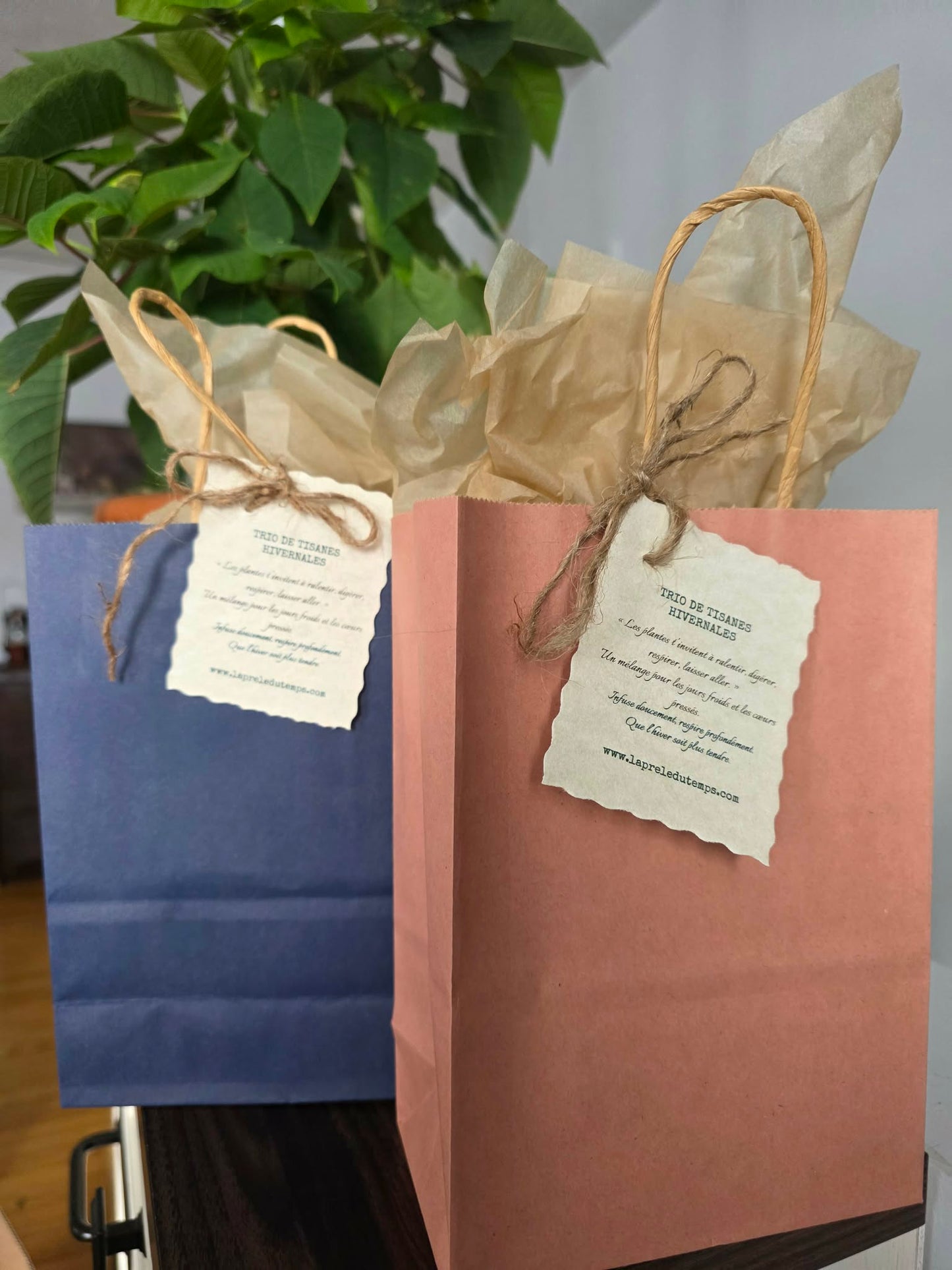 Trio de tisanes hivernales
