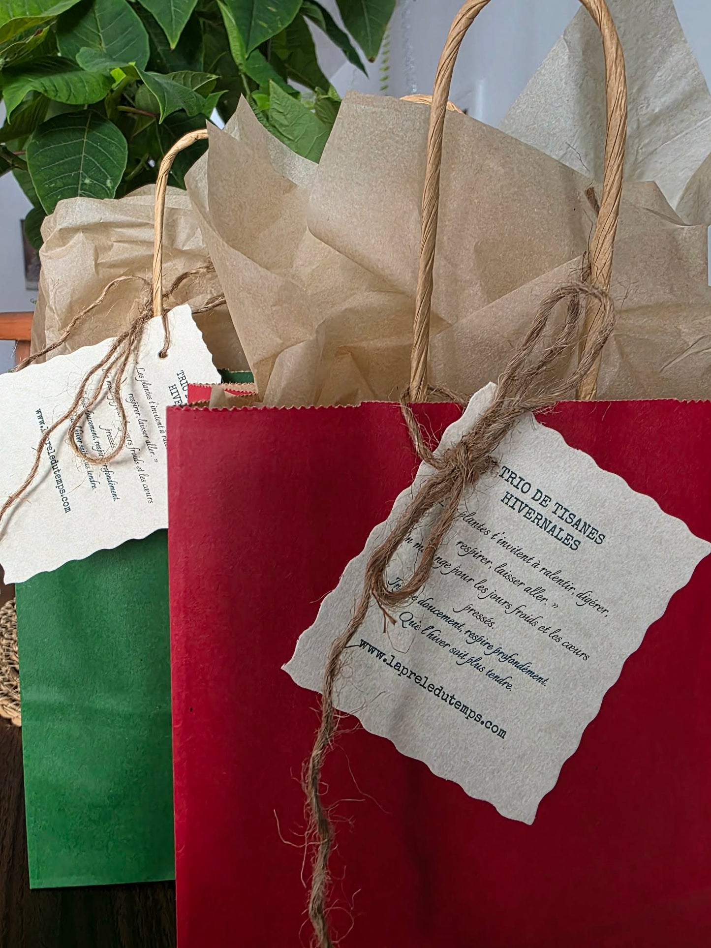 Trio de tisanes hivernales